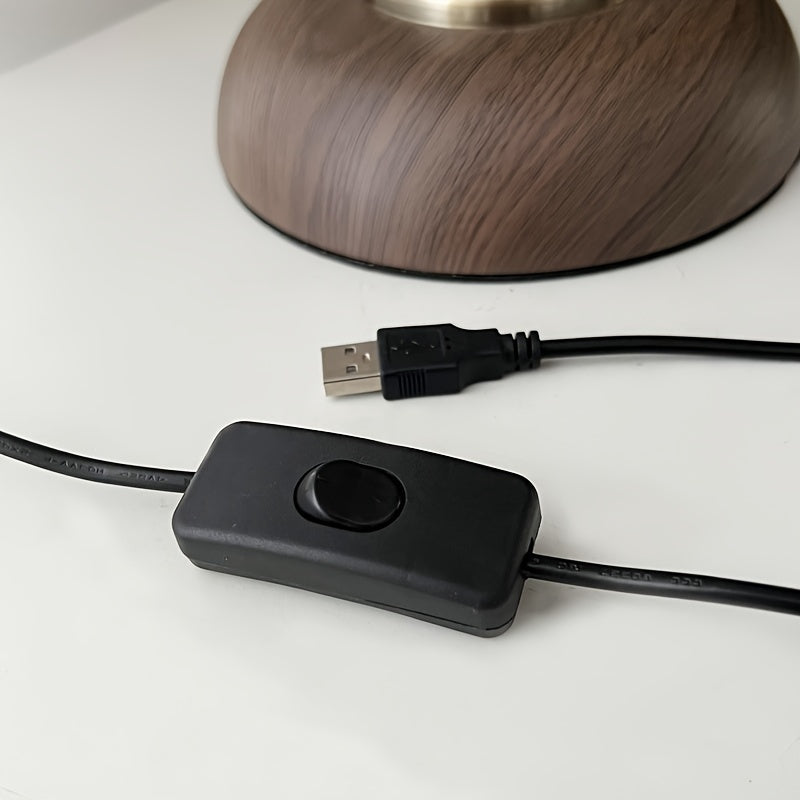 Luvano Tischleuchte Schwanenhals Messing USB