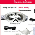 Ski Goggles